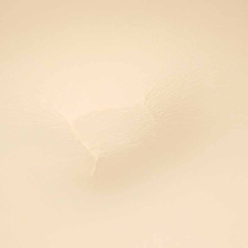 Cute Animal Seat Cushion Stuffed Cushion With Summer Mat 16 inch