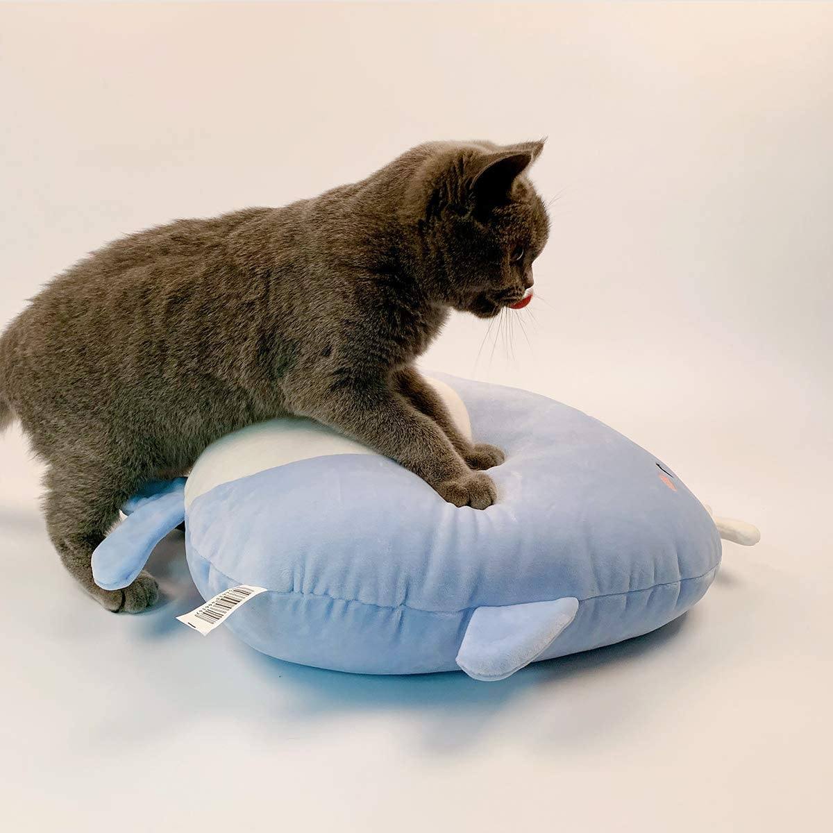 Arelux-home-Whale Plush TOYS_AND_GAMES ARELUX